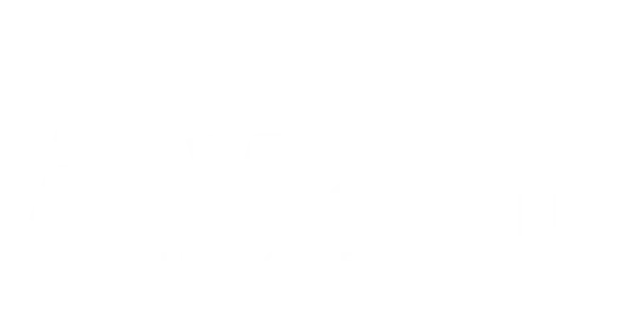 logo aviair